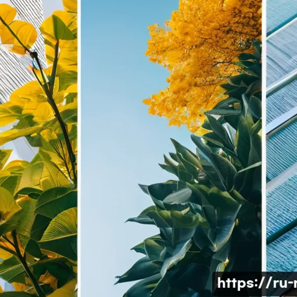 규제요원 필수 중점 과목 정리 - Here are three detailed image prompts in English:
