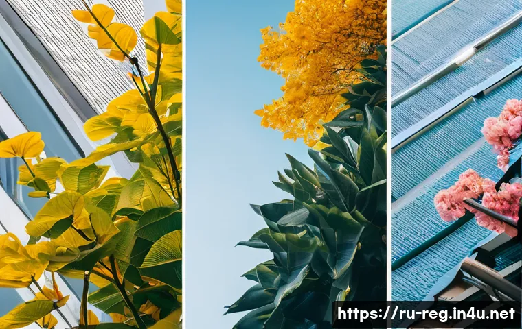 규제요원 필수 중점 과목 정리 - Here are three detailed image prompts in English: